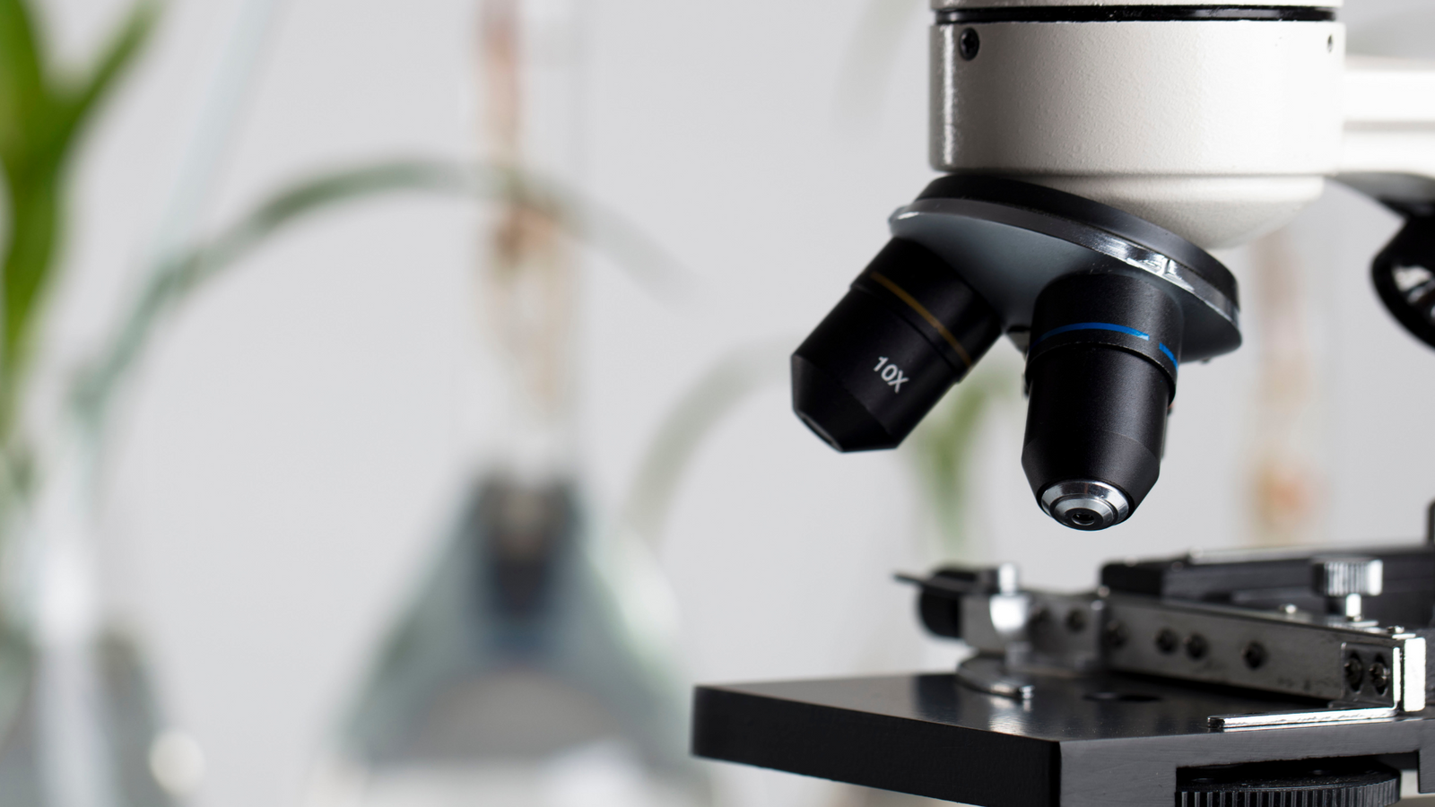From Sourcing to Certification: COLLEET's Commitment to Quality and Safety