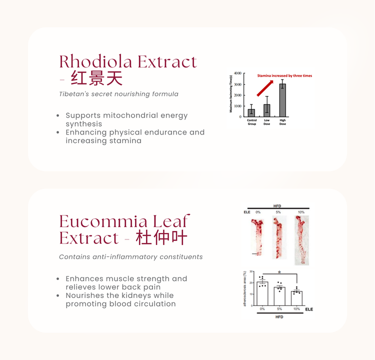 Beavi 9 – Vitality & Immunity in Every Stick